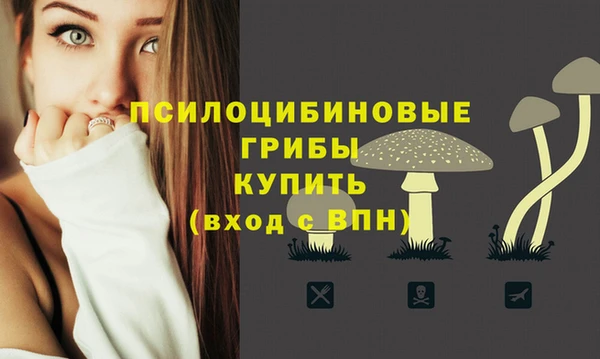 2c-b Горно-Алтайск