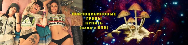 2c-b Горно-Алтайск