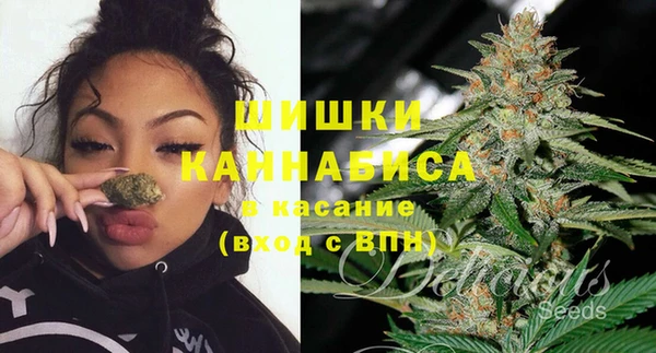 2c-b Горно-Алтайск
