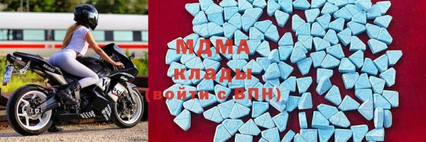 спиды Тайга