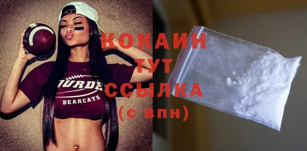 2c-b Горно-Алтайск