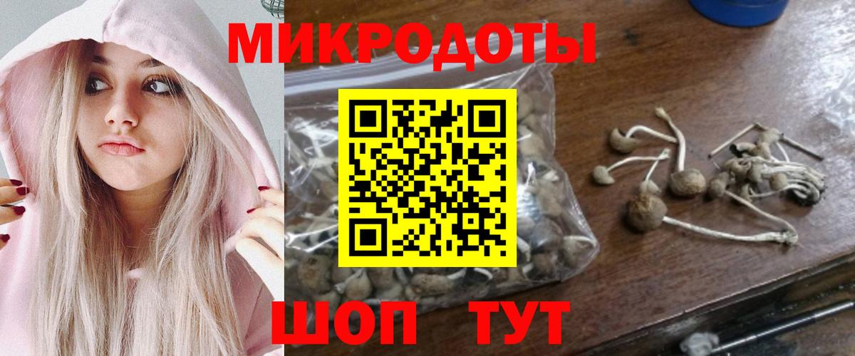 Псилоцибиновые грибы мухоморы Мценск